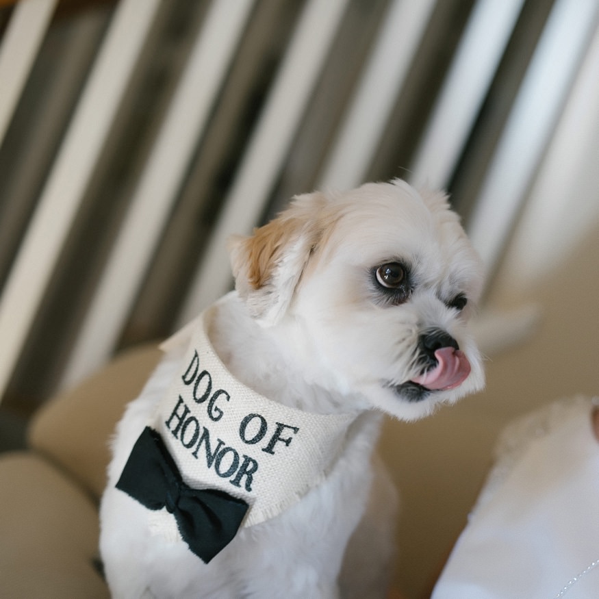 Lauren and Tim wedding, candid wedding moment, best of 2017 by Jordan Brian